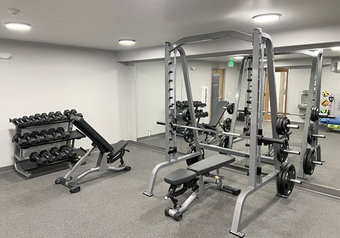 Fitness center with weight rack, free weights, squat, bench press rack, and two benches.